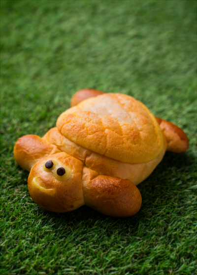 ごちそうパン 特集】今にも歩き出しそう⁉贈り物にも喜ばれる大きなかめ