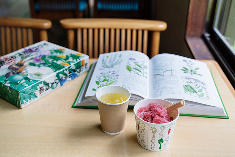 休活トリップ 特集】〈開聞山麓香料園〉移りゆく季節。木々に癒され